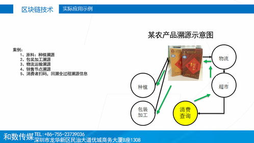 傳統產業融入區塊鏈 和數軟件如何以技術賦能，穩健前行